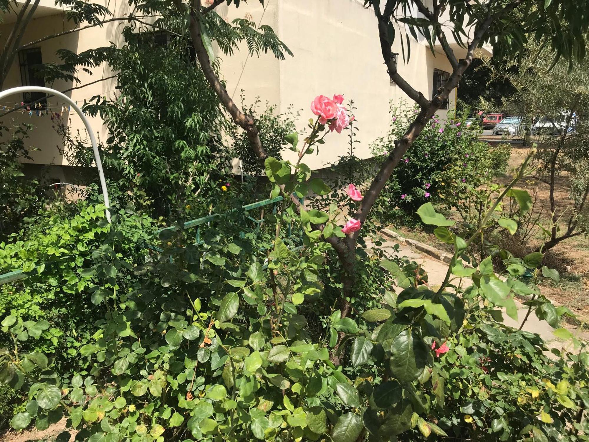 Apartament Langa Plaja Diana Mangalia Kültér fotó
