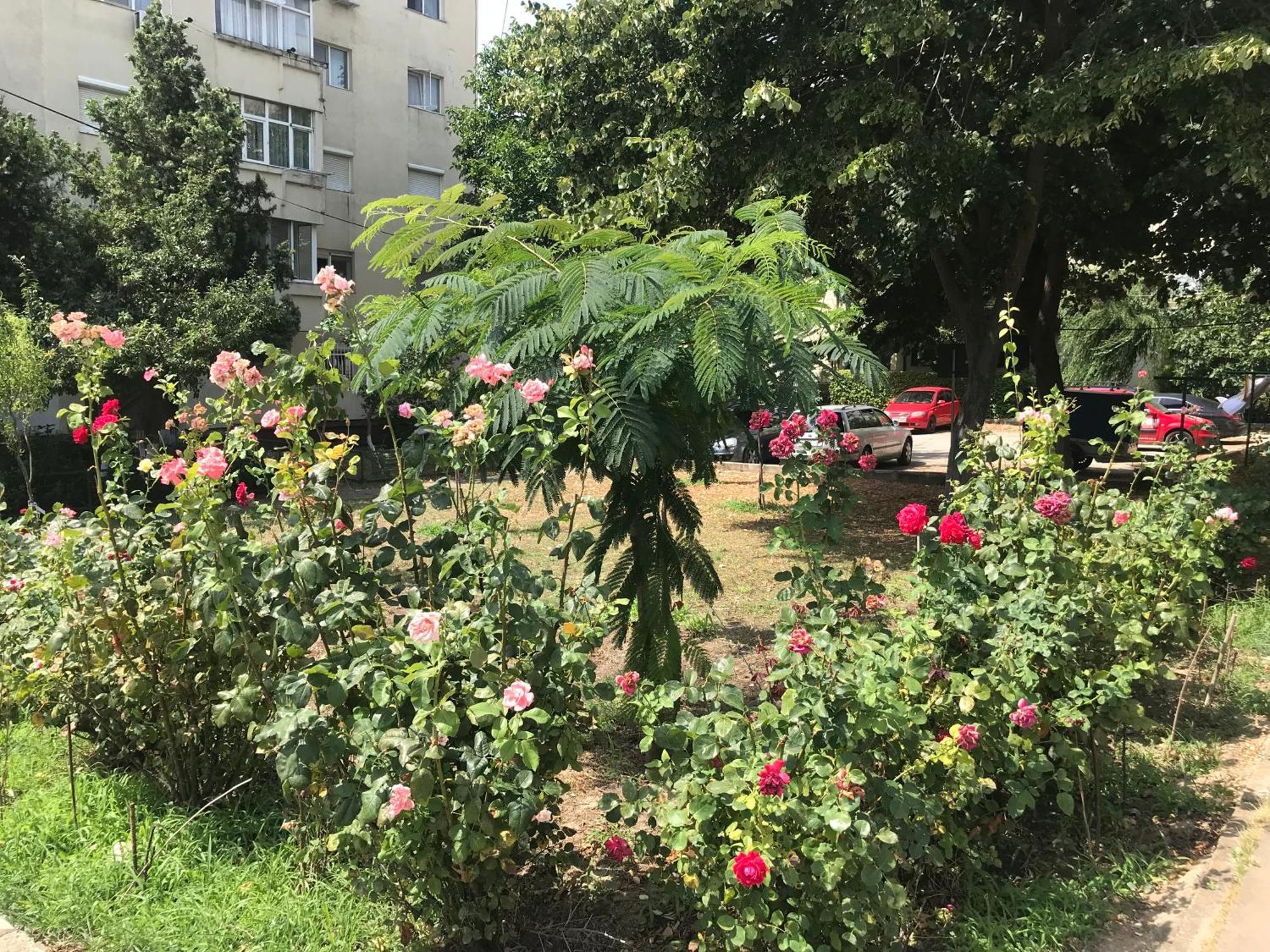 Apartament Langa Plaja Diana Mangalia Kültér fotó