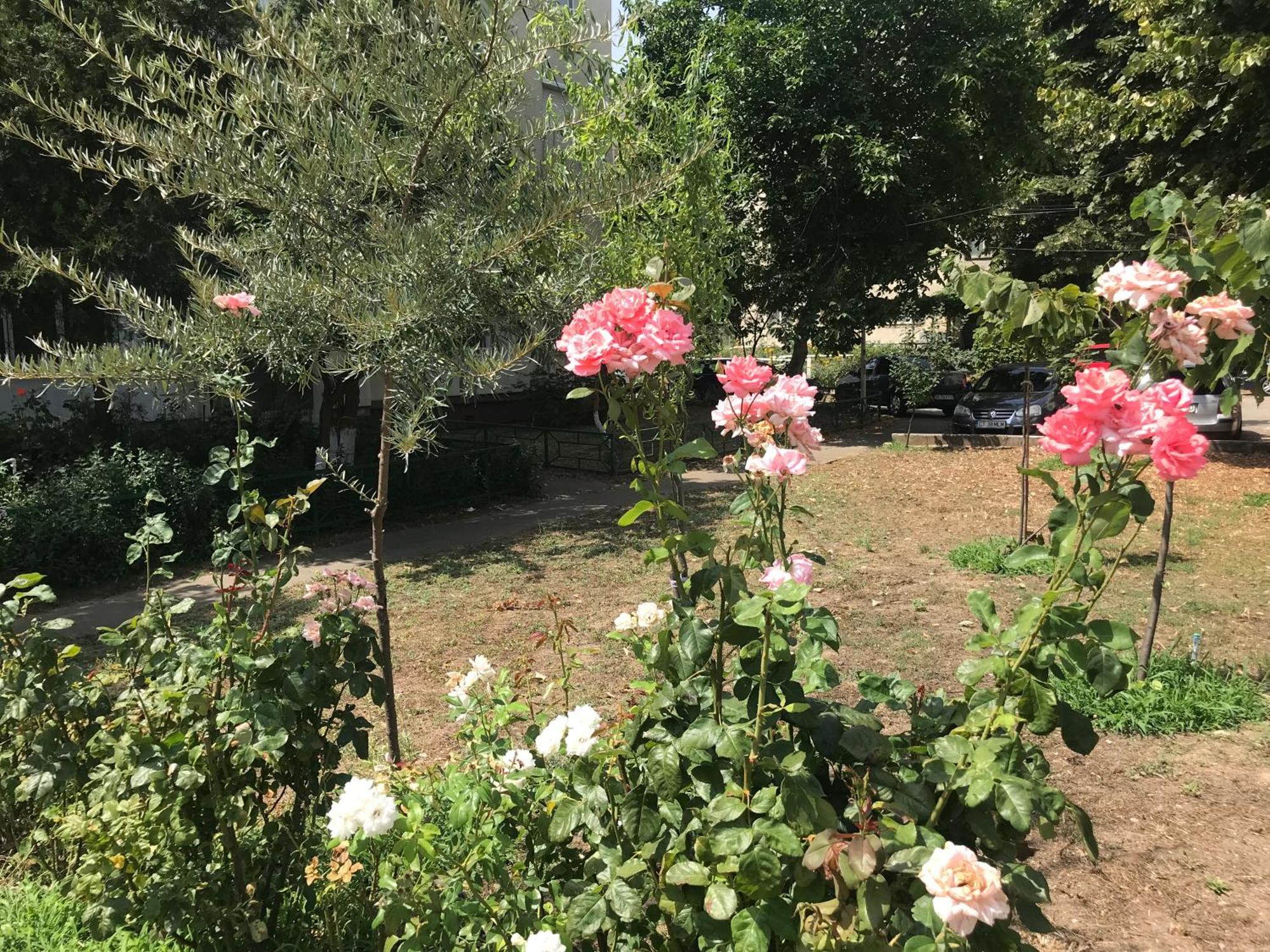 Apartament Langa Plaja Diana Mangalia Kültér fotó